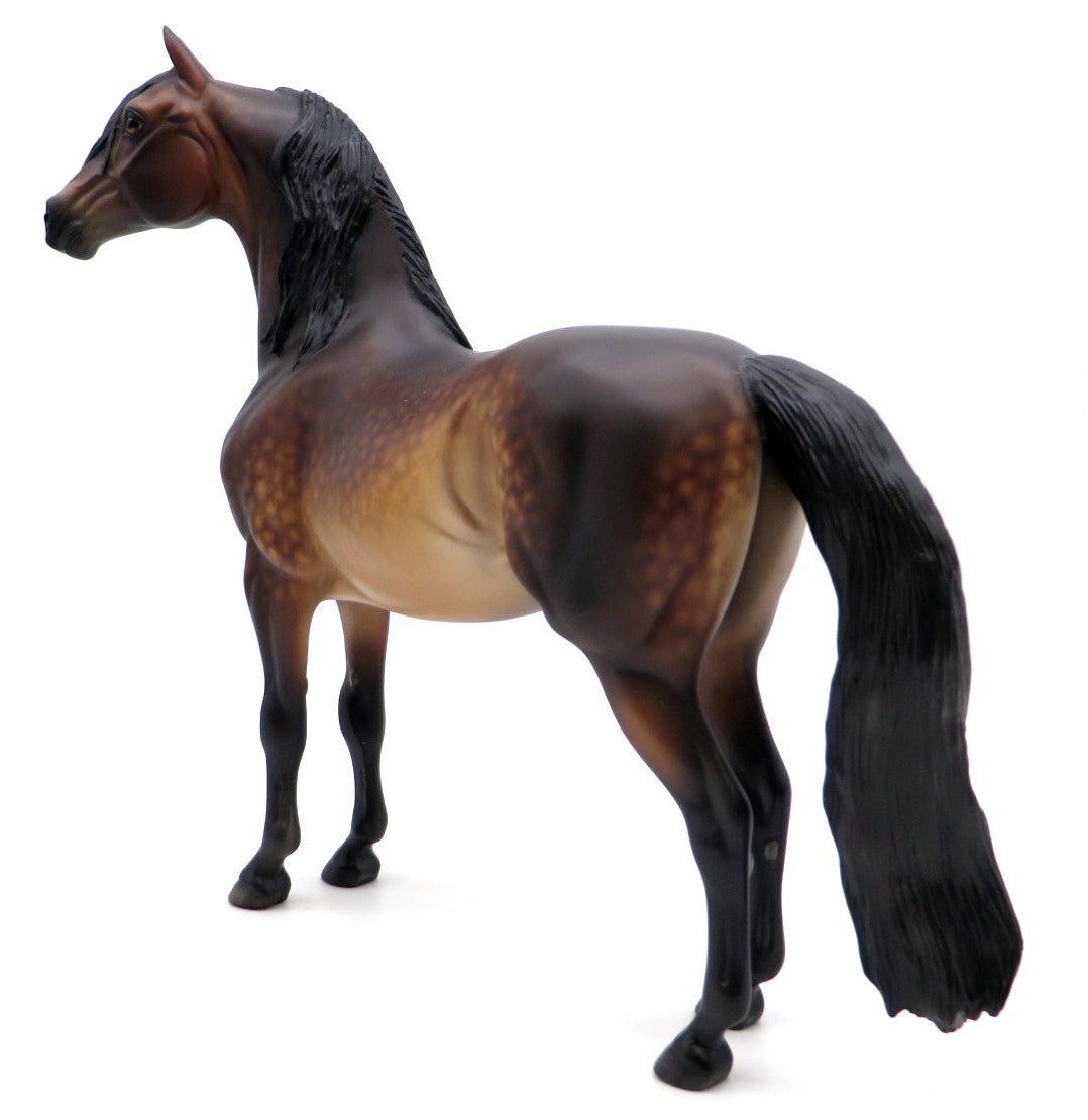 ROCK ON DUDE-OOAK DAPPLE BAY MORGAN BY SHERYL LEISURE 1/17/21