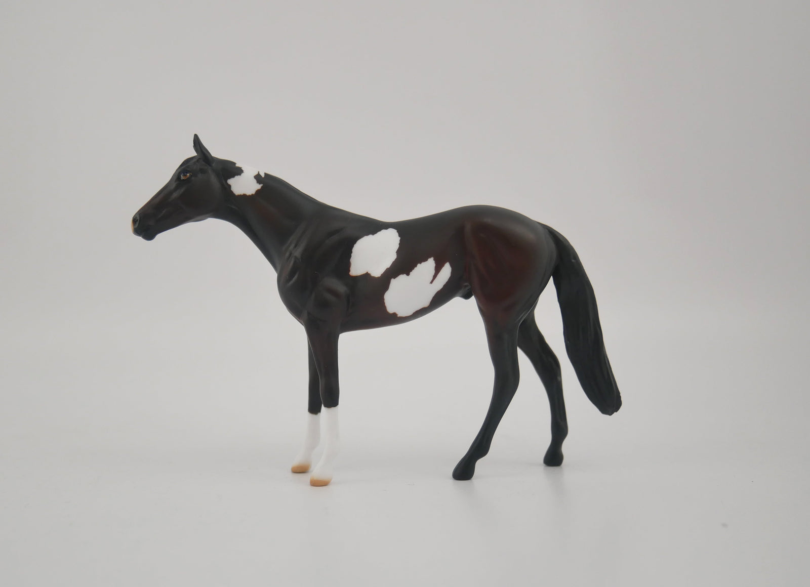 Rockweed-OOAK Bay Pinto Thoroughbred Chip