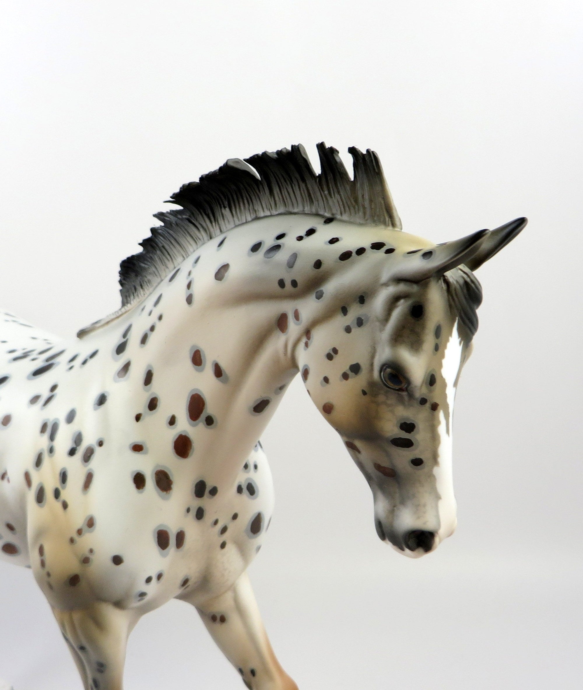 ROHESE-OOAK CHESTNUT LOUD APPALOOSA THOROUGHBRED MODEL HORSE EQ 19