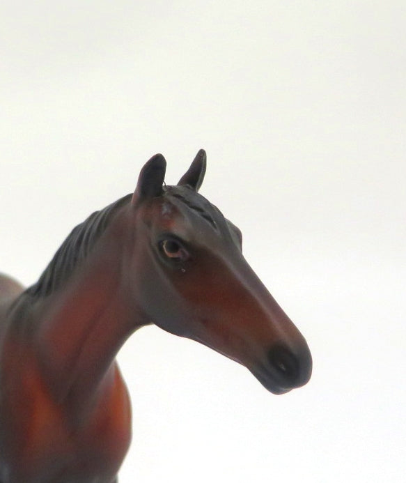 ROLO -OOAK DARK BAY THOROUGHBRED CHIP BY MISSY FOX EA20