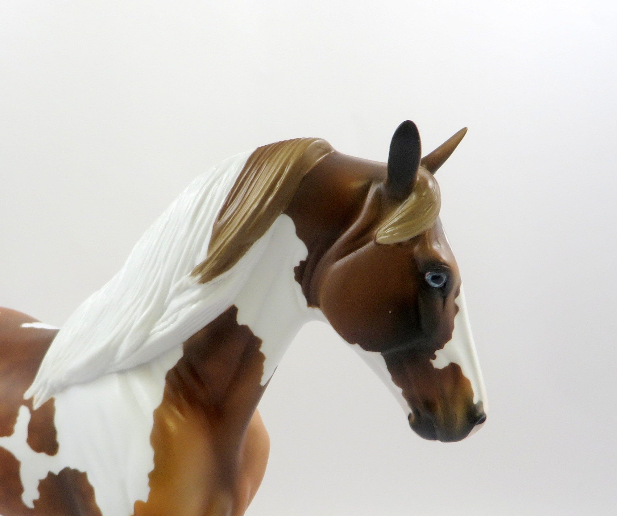 ROMONA-OOAK DAPPLE CHESTNUT PINTO TWH MODEL HORSE EQ 2019