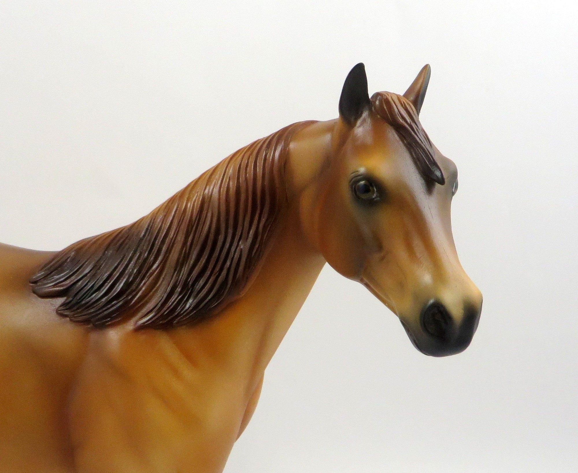 ROMY-OOAK RED DUN ISH MODEL HORSE EQ 2019
