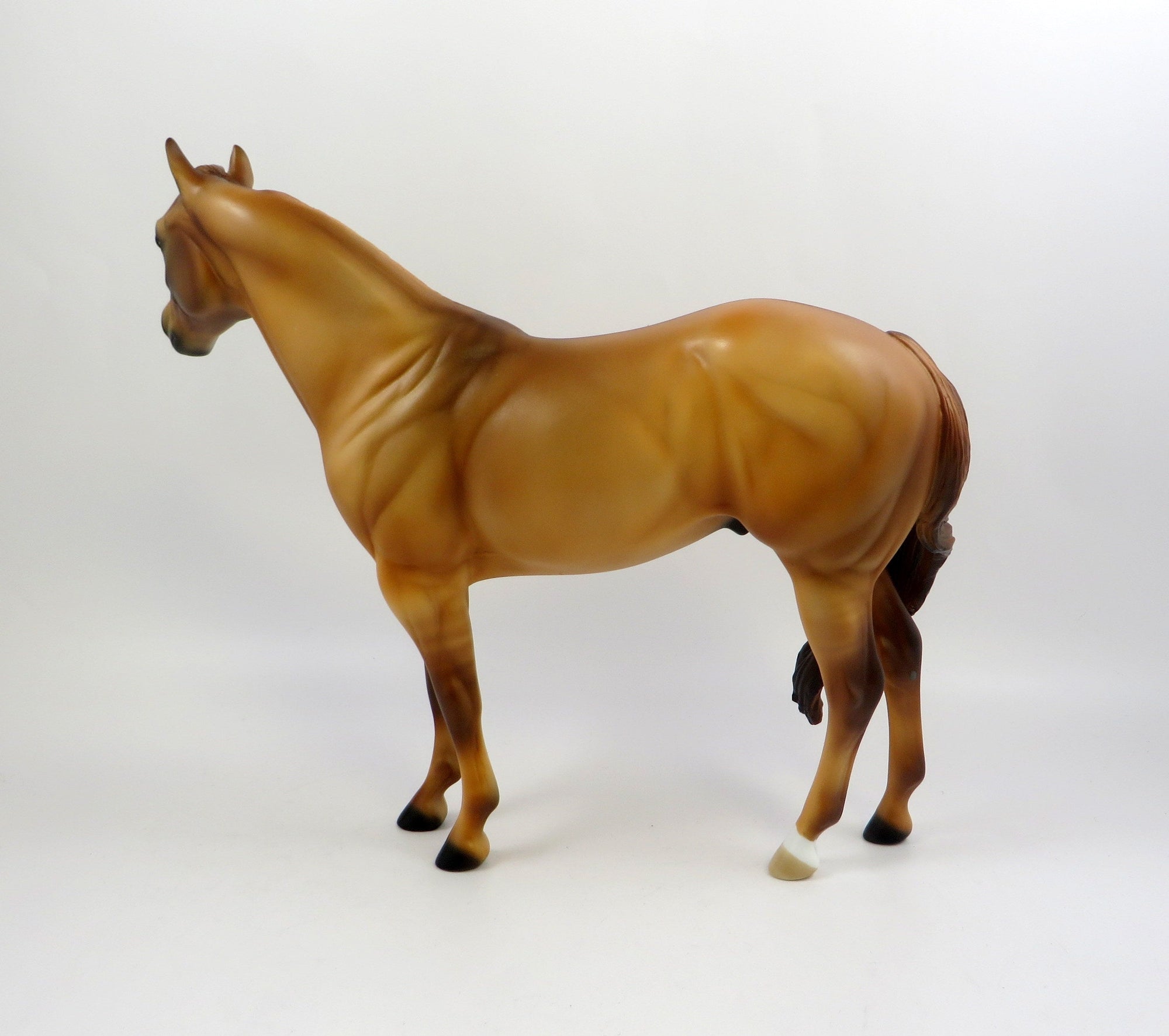 ROMY-OOAK RED DUN ISH MODEL HORSE EQ 2019