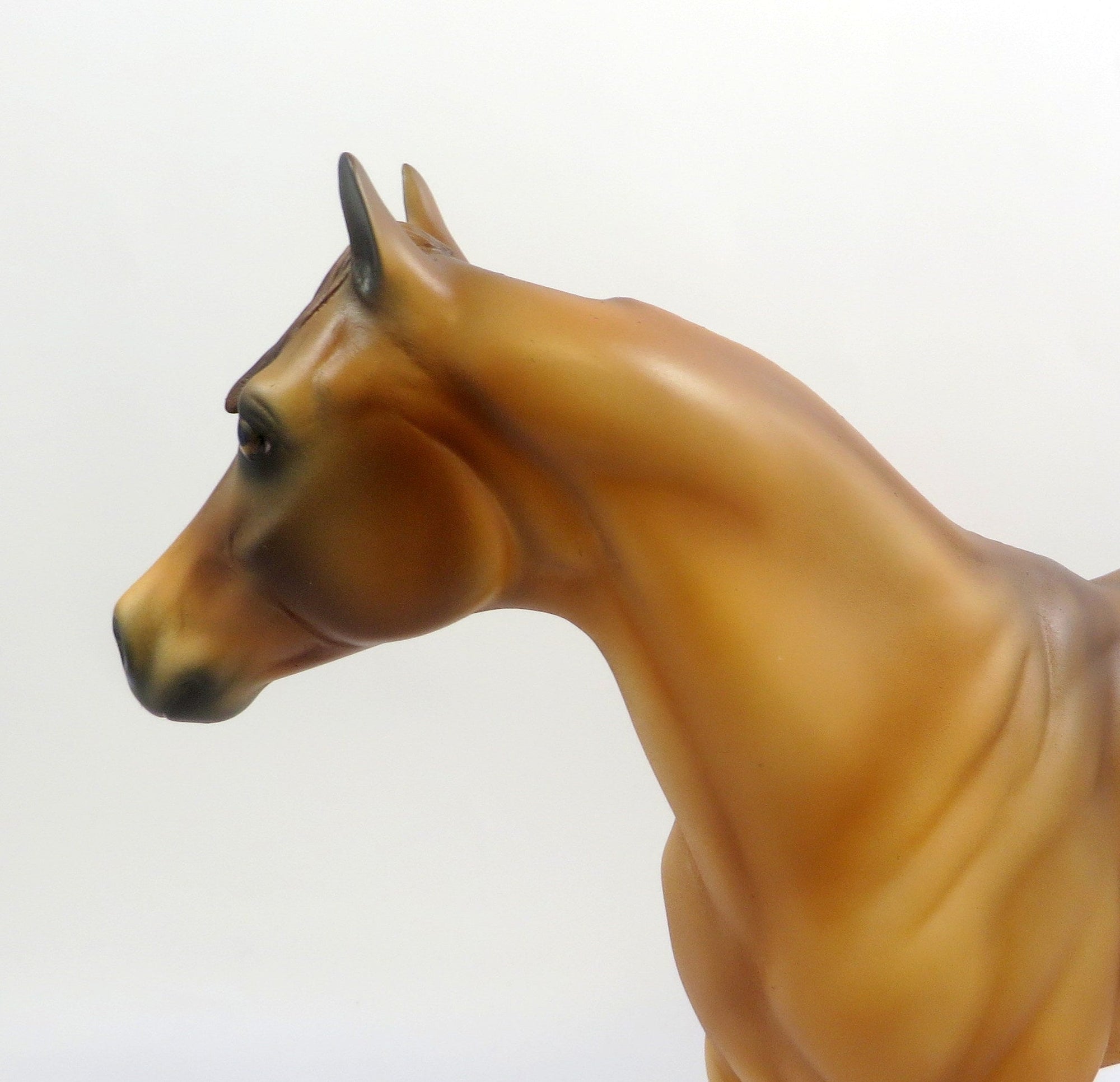 ROMY-OOAK RED DUN ISH MODEL HORSE EQ 2019