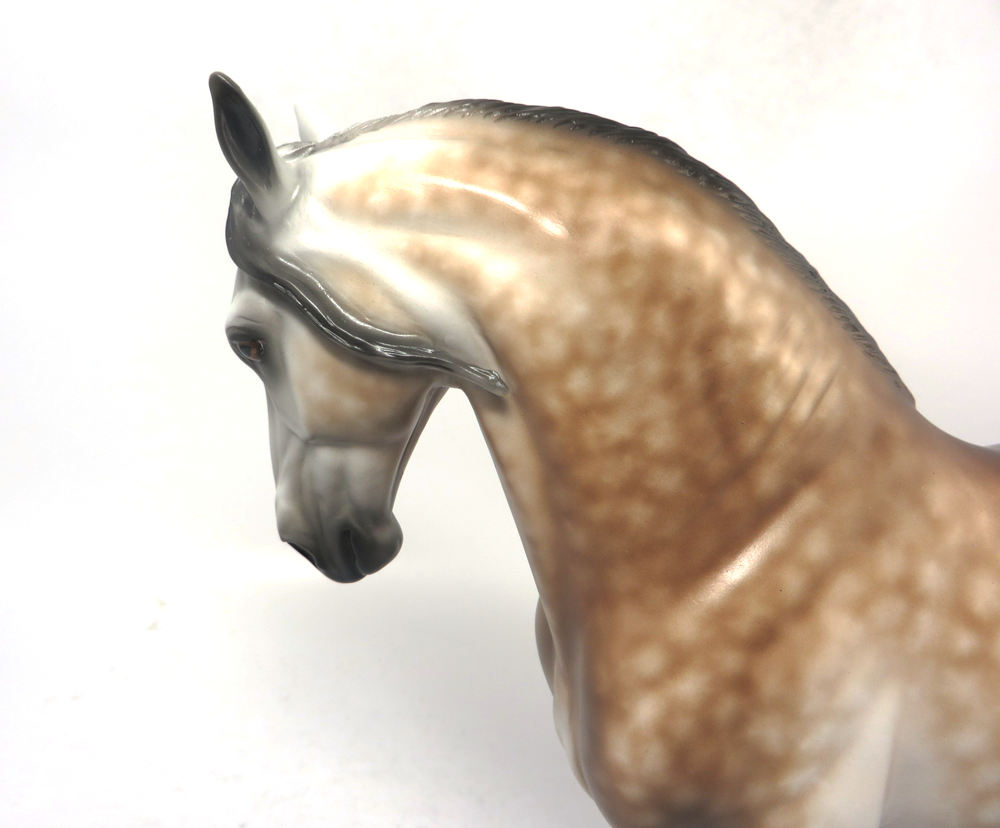 ANTHEM - OOAK DAPPLED ROSE GREY  ANDY CUSTOM  SHERYL LEISURE 2-20-19