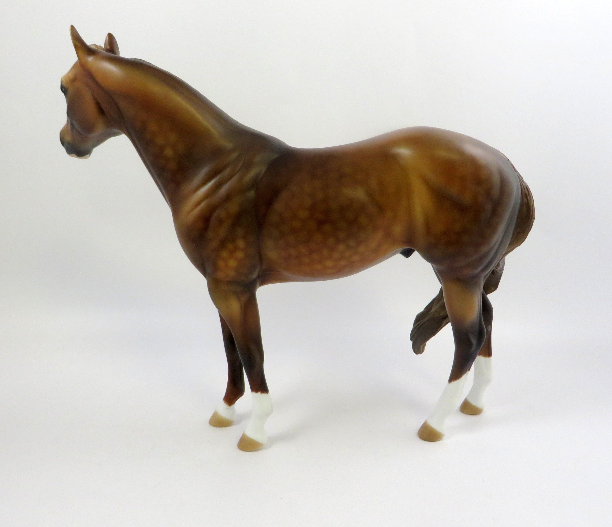 ROYAL CHOCOLATE-OOAK LIVER CHESTNUT ISH MODEL HORSE EQ 2019