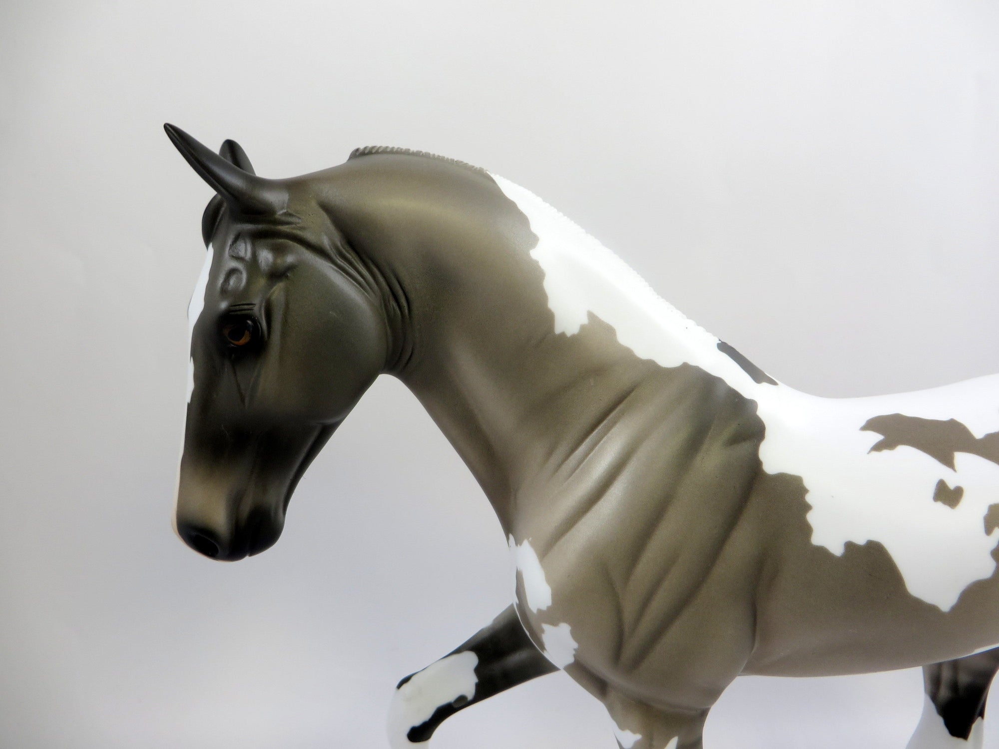 ROYAL STEED-OOAK GRULLA PINTO TENNESSEE WALKER MODEL HORSE EQ 19