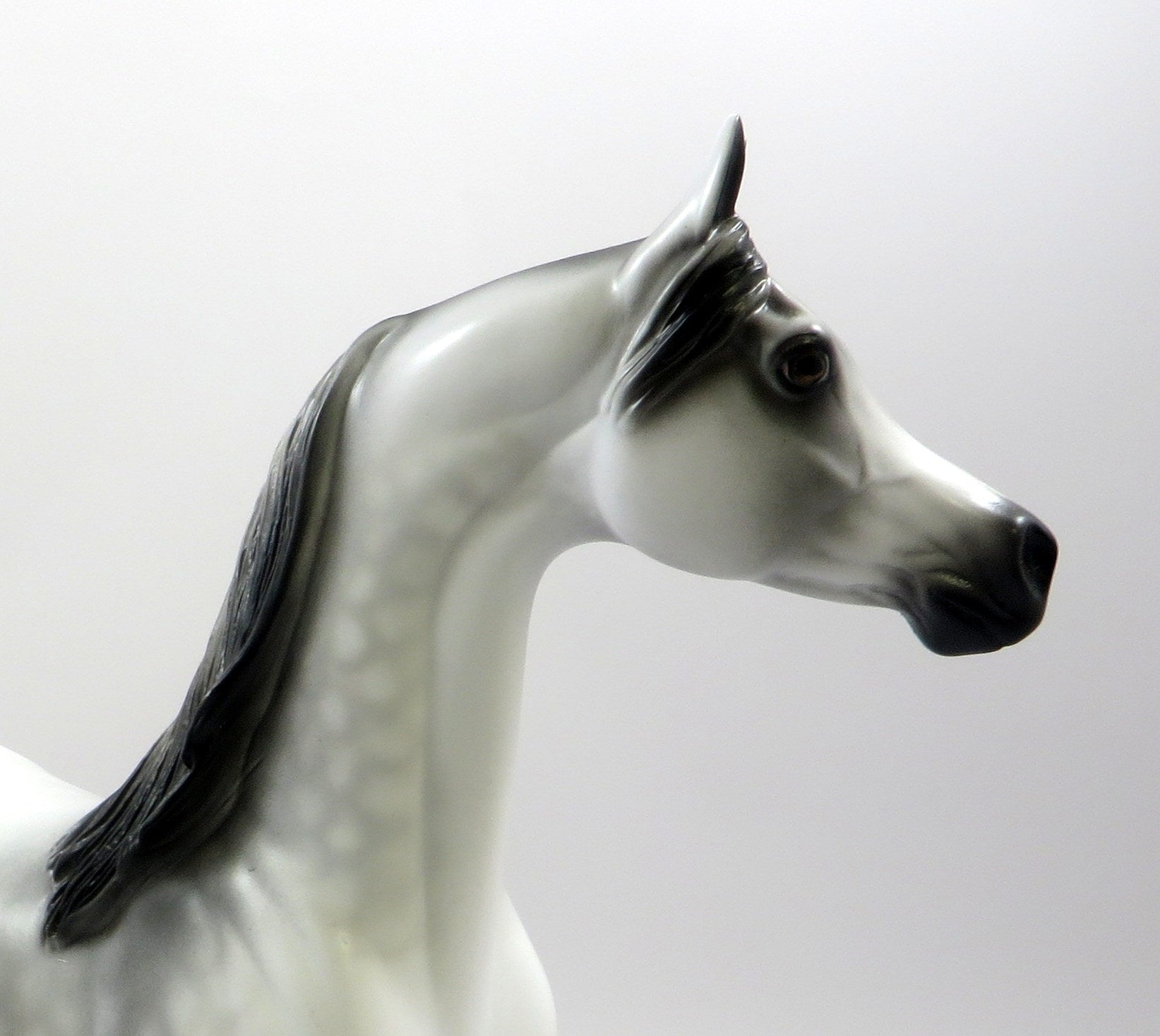 ROYAL GHOST -OOAK DAPPLED GREY ARABIAN MODEL EQ 2019