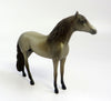 ROYAL HARE-OOAK CHAMPAGNE  ANDALUSIAN EQ 2019