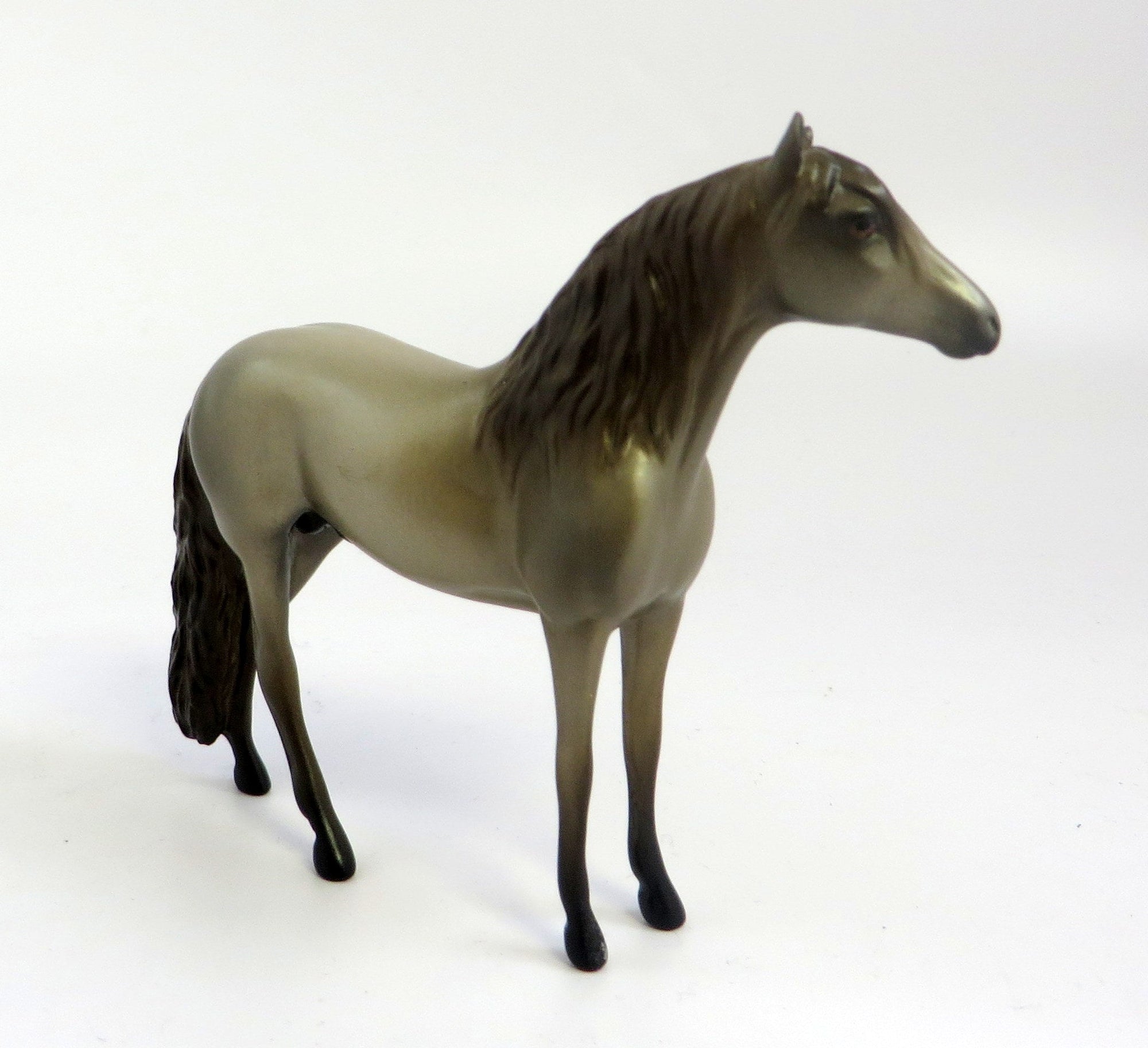 ROYAL HARE-OOAK CHAMPAGNE  ANDALUSIAN EQ 2019