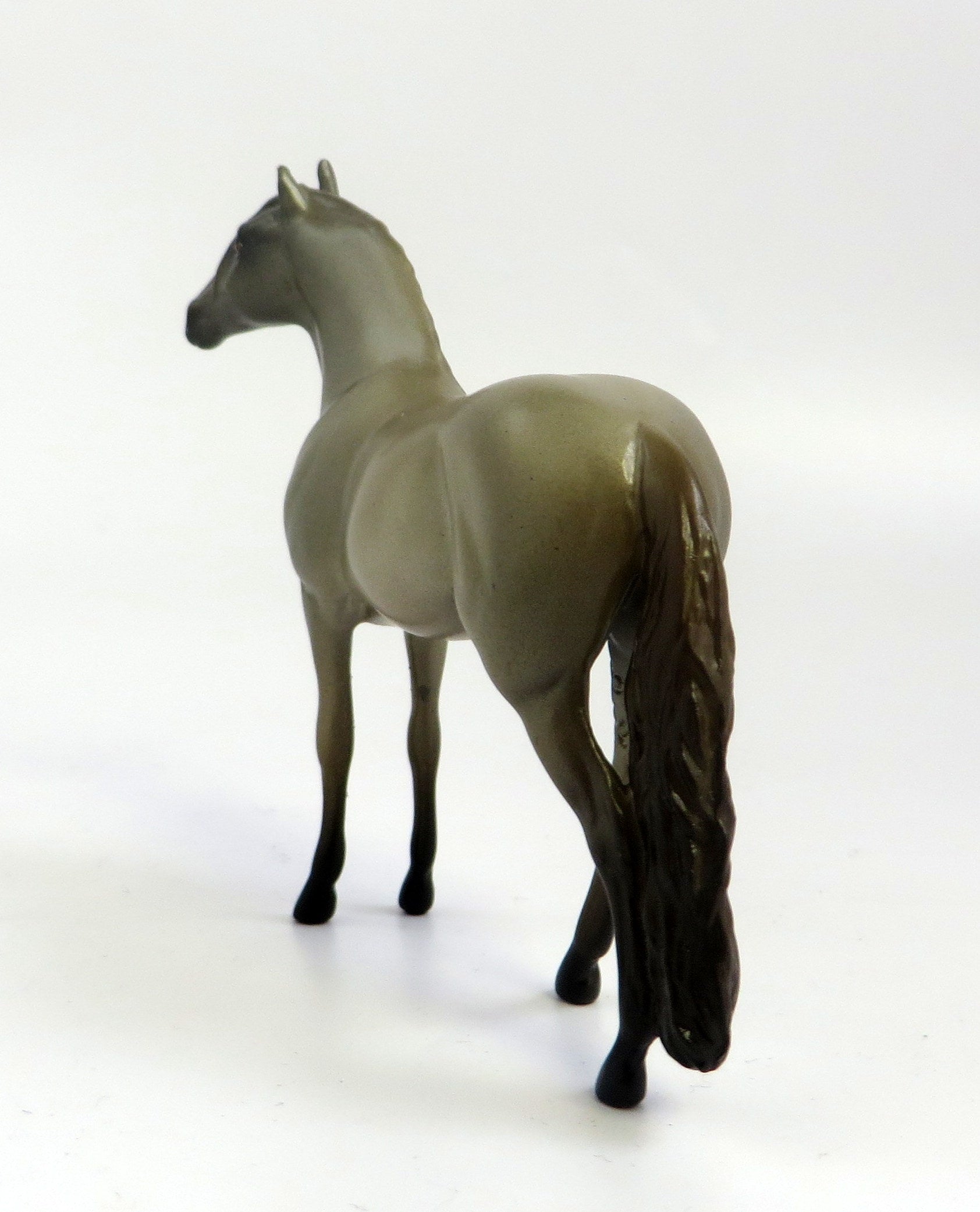 ROYAL HARE-OOAK CHAMPAGNE  ANDALUSIAN EQ 2019