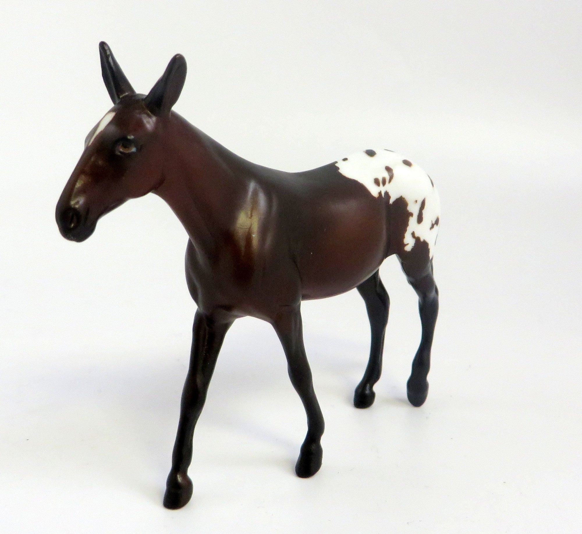 ROYAL PAIN-OOAK BAY APPALOOSA MULE CHIP EQ 2019