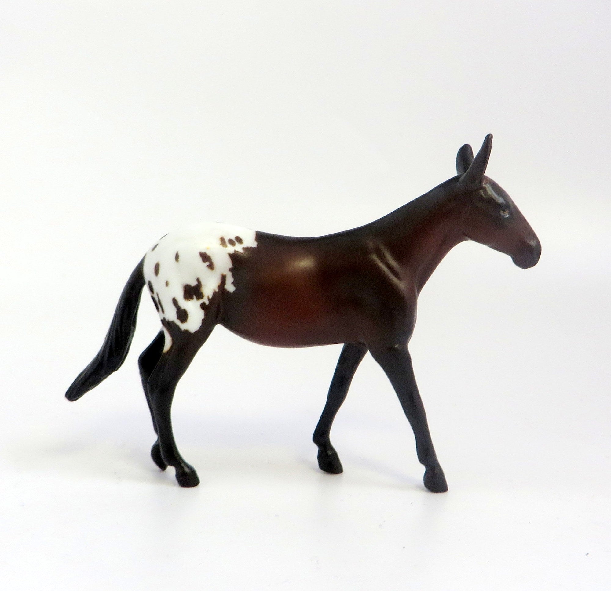 ROYAL PAIN-OOAK BAY APPALOOSA MULE CHIP EQ 2019