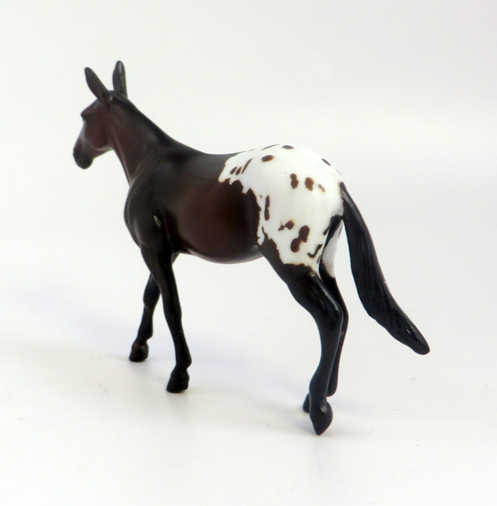 ROYAL PAIN-OOAK BAY APPALOOSA MULE CHIP EQ 2019
