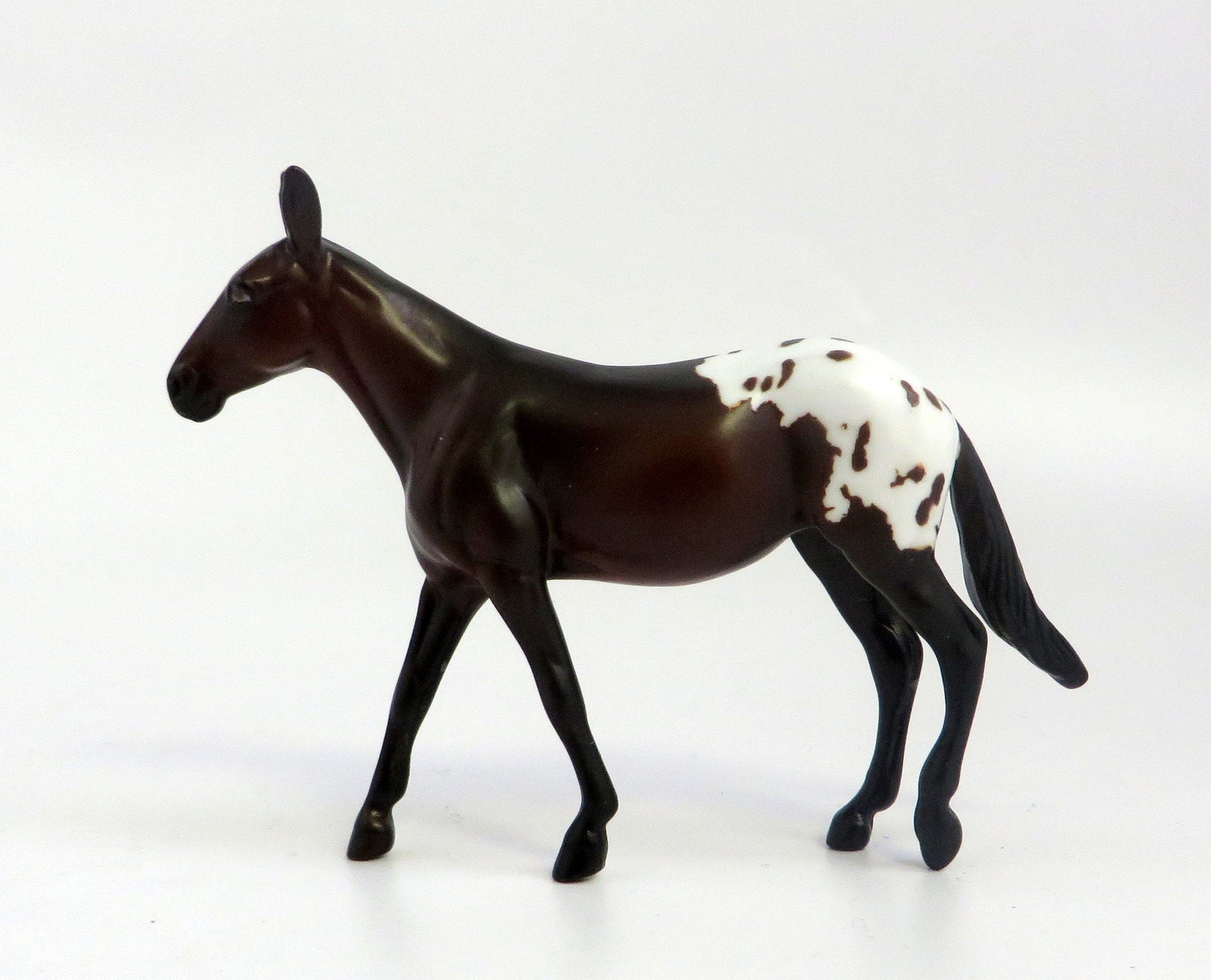 ROYAL PAIN-OOAK BAY APPALOOSA MULE CHIP EQ 2019