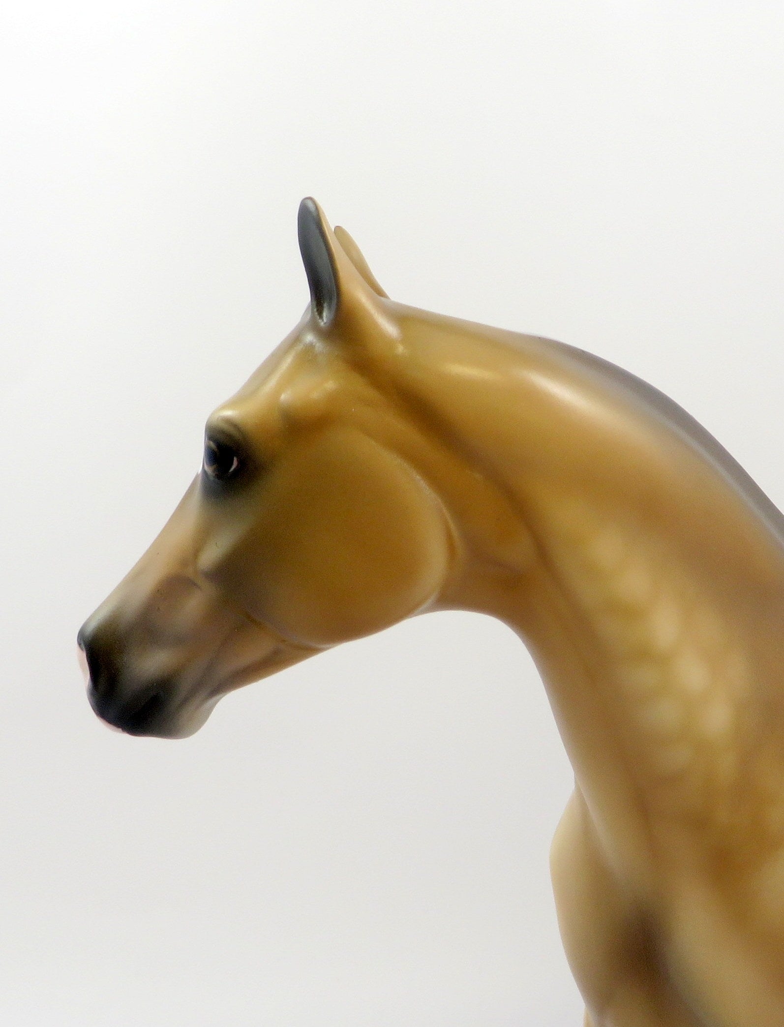 ROYAL QUEST-OOAK SOOTY PALOMINO ISH MODEL HORSE EQ 19