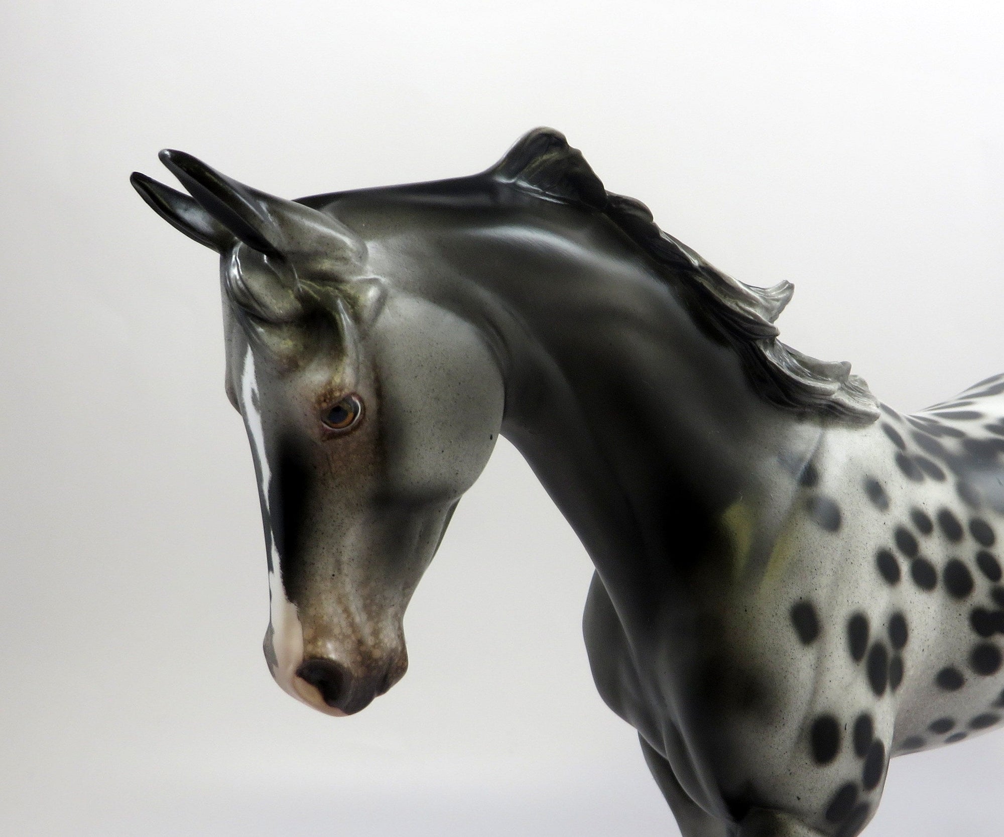 ROYAL SPOTS-OOAK LOUD APPALOOSA THOROUGHBRED MODEL HORSE EQ 19