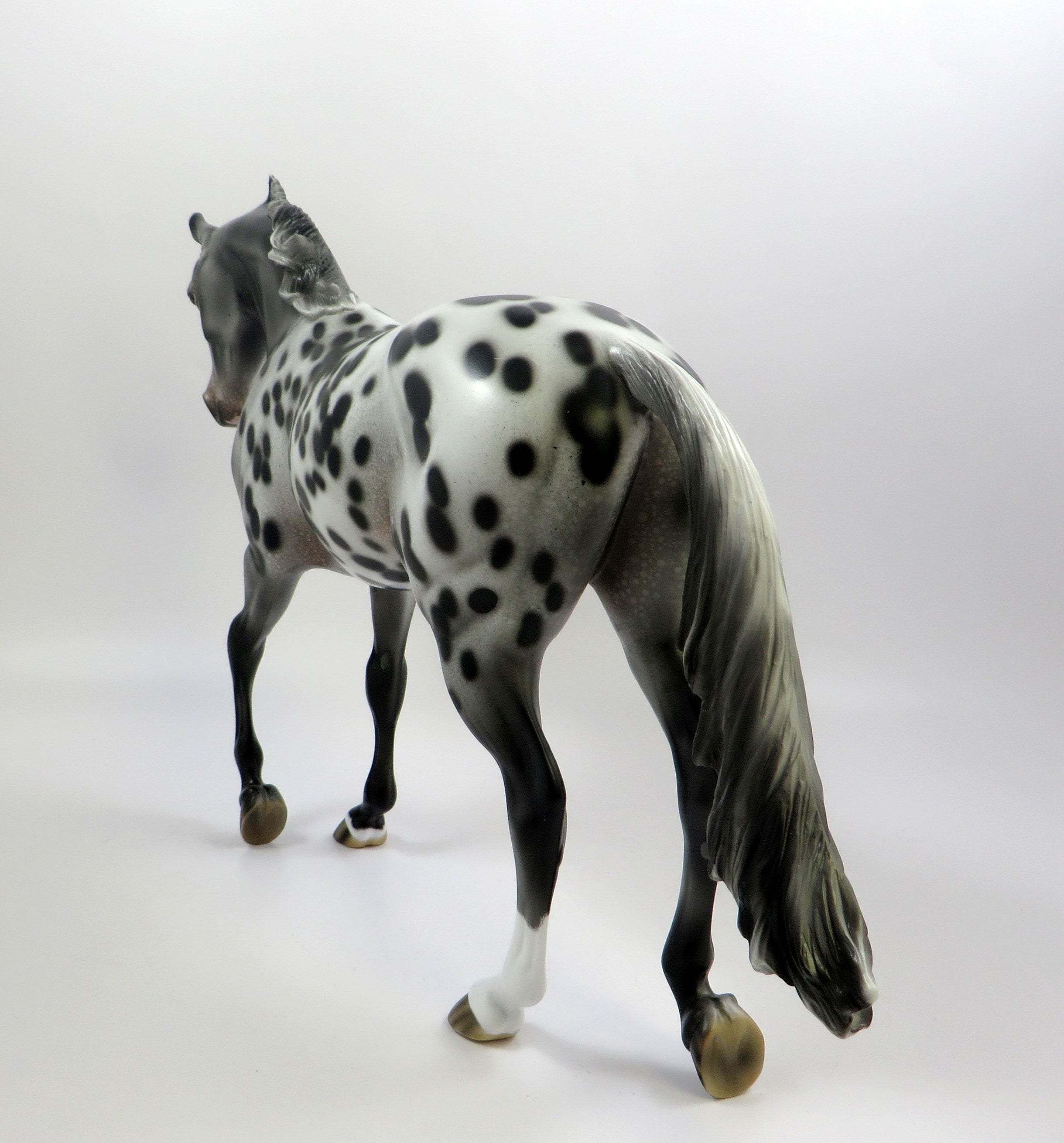 Appaloosa horse - Indian breed raised by Native Americans - EQUISHOP  Equestrian Shop