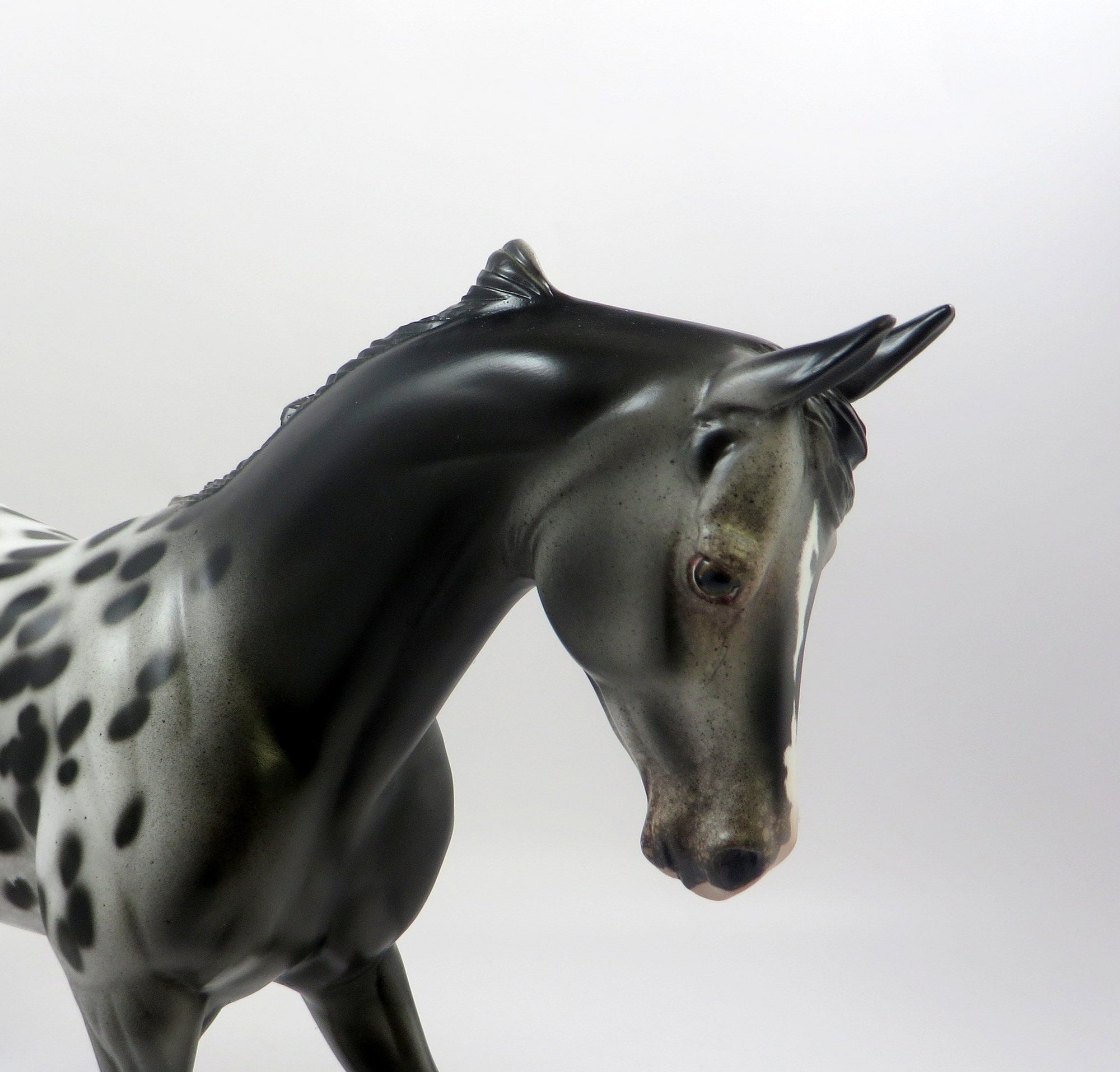 ROYAL SPOTS-OOAK LOUD APPALOOSA THOROUGHBRED MODEL HORSE EQ 19