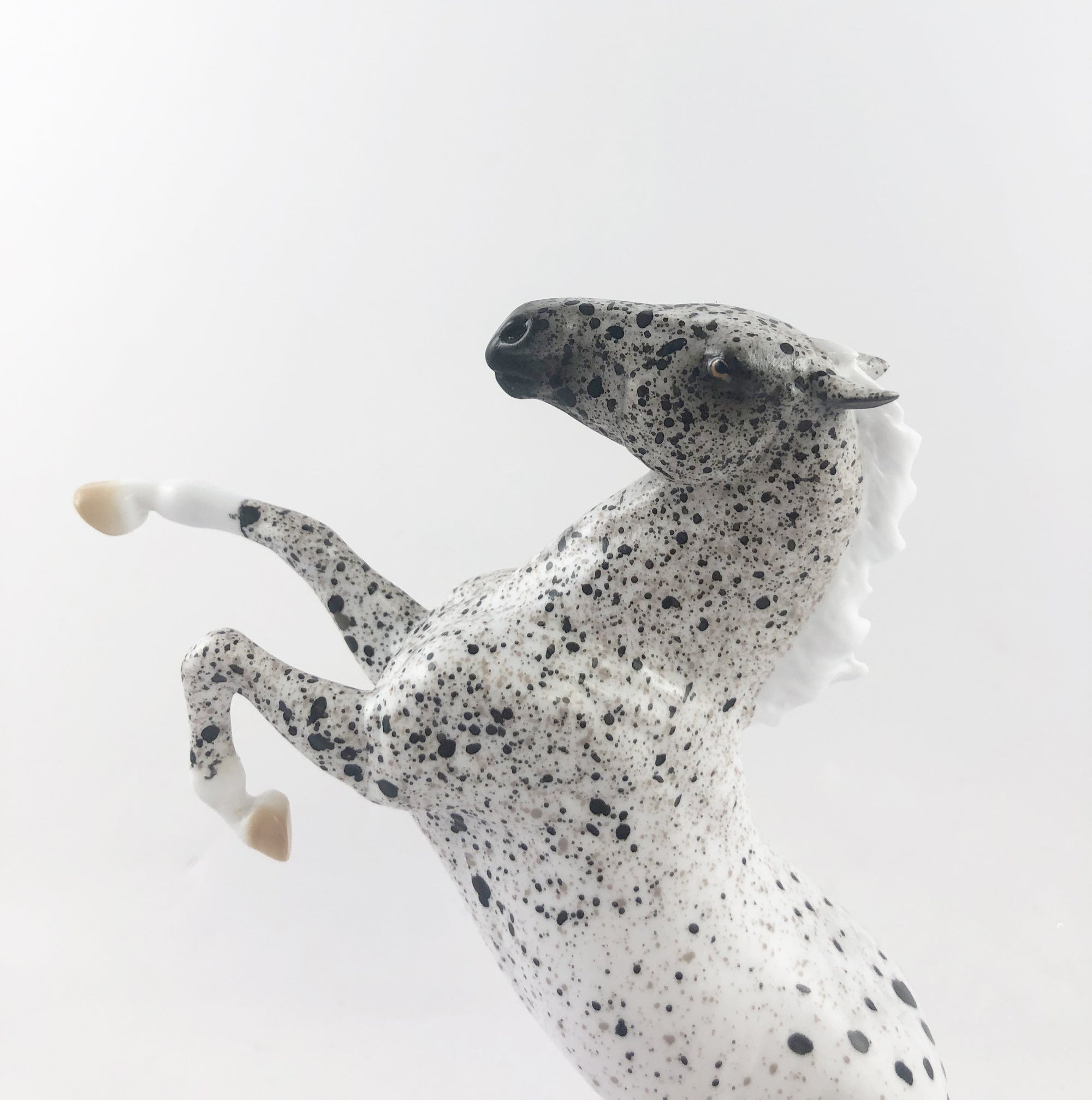 FRIGHT CLUB -- OOAK APPALOOSA REARING PEBBLES BY AL KATT MM 19