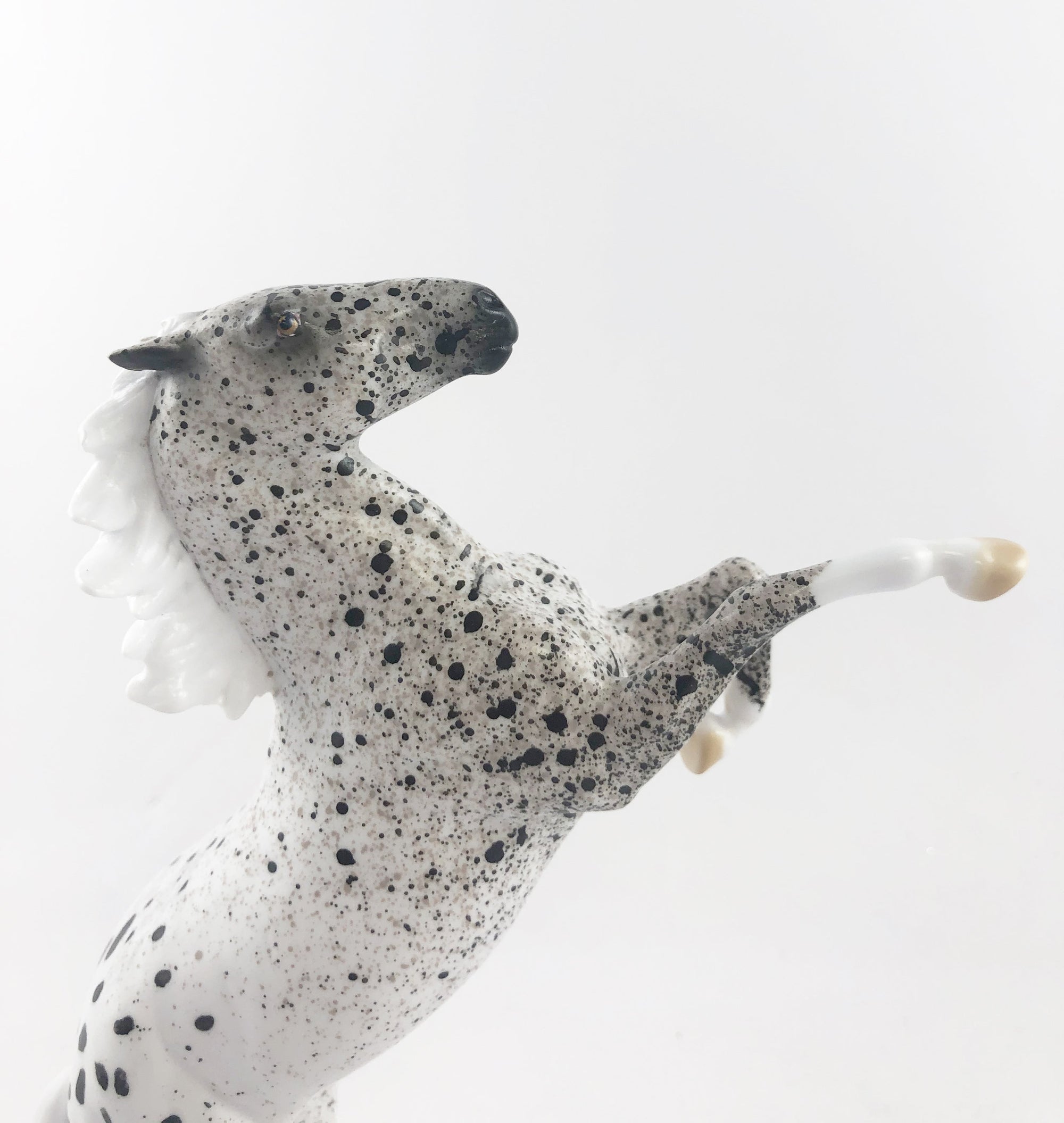 FRIGHT CLUB -- OOAK APPALOOSA REARING PEBBLES BY AL KATT MM 19