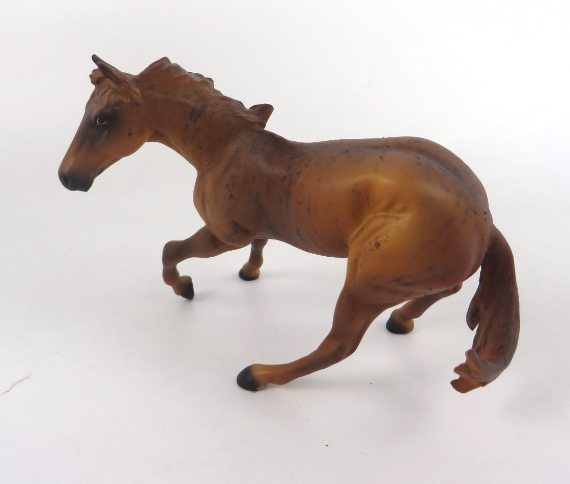 RUSTUS -OOAK BRINDLE CUTTER CHIP BY ANDREA WHS19