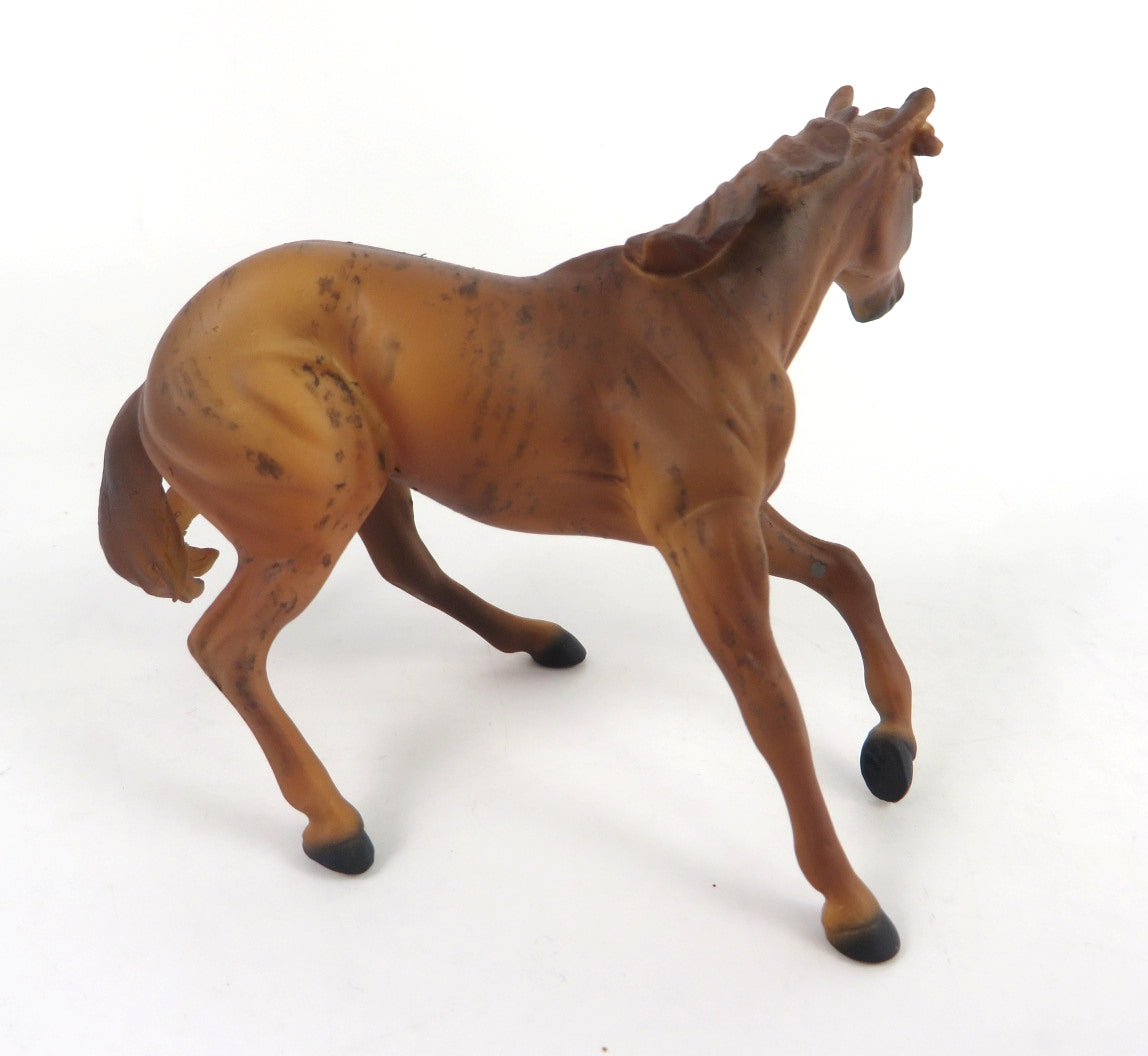 RUSTUS -OOAK BRINDLE CUTTER CHIP BY ANDREA WHS19