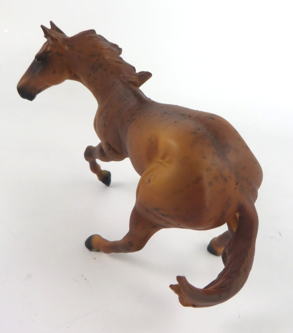 RUSTUS -OOAK BRINDLE CUTTER CHIP BY ANDREA WHS19