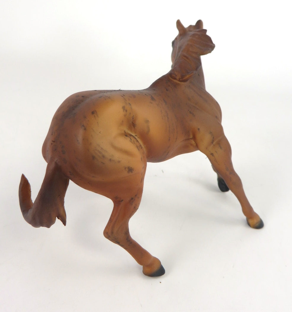 RUSTUS -OOAK BRINDLE CUTTER CHIP BY ANDREA WHS19