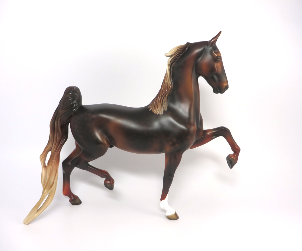 BOOMERANG- LE-5  DAPPLED DARK LIVER CHESTNUT SADDLEBRED BY MISSY FOX 2-25-19