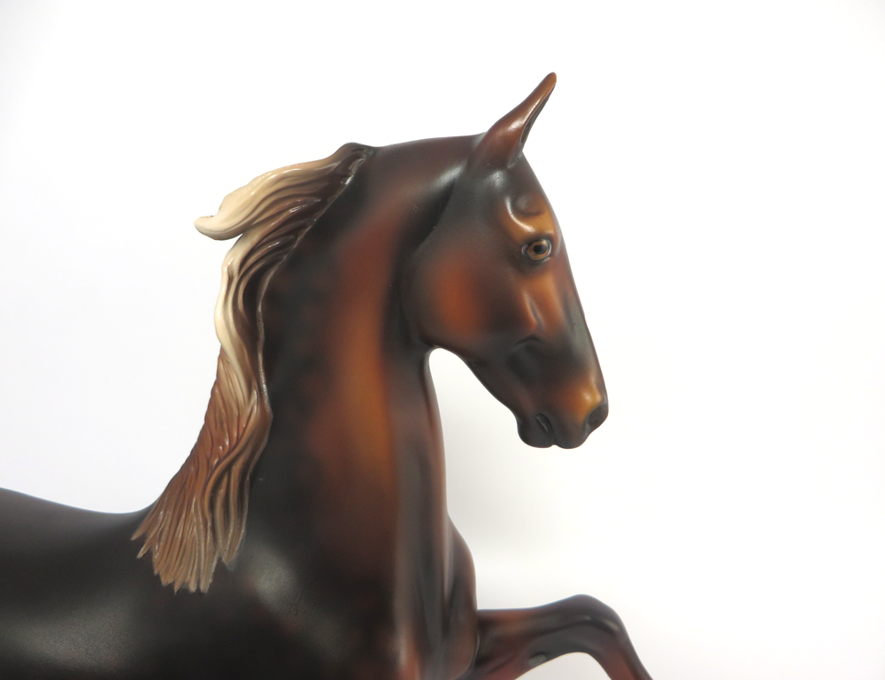 BOOMERANG- LE-5  DAPPLED DARK LIVER CHESTNUT SADDLEBRED BY MISSY FOX 2-25-19