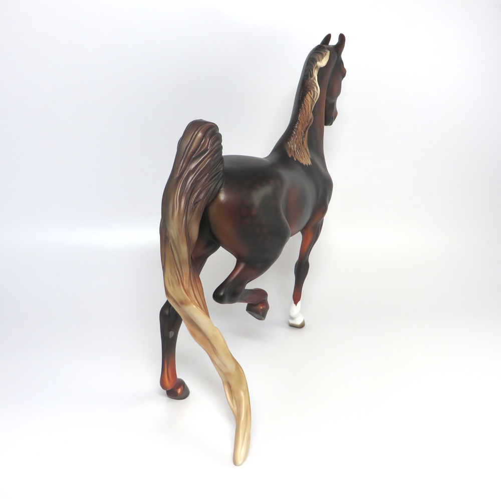 BOOMERANG- LE-5  DAPPLED DARK LIVER CHESTNUT SADDLEBRED BY MISSY FOX 2-25-19