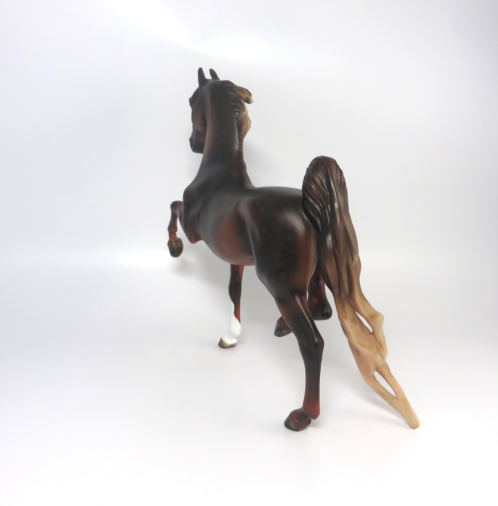 BOOMERANG- LE-5  DAPPLED DARK LIVER CHESTNUT SADDLEBRED BY MISSY FOX 2-25-19