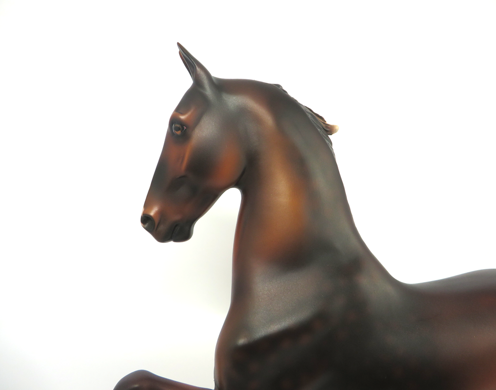 BOOMERANG- LE-5  DAPPLED DARK LIVER CHESTNUT SADDLEBRED BY MISSY FOX 2-25-19