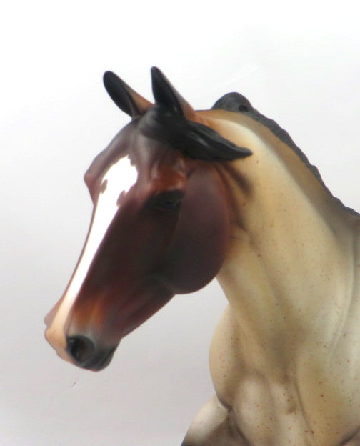 SANDMAN-OOAK BAY ROAN FOUNDATION QUARTER HORSE MODEL HORSE 1/3/2020