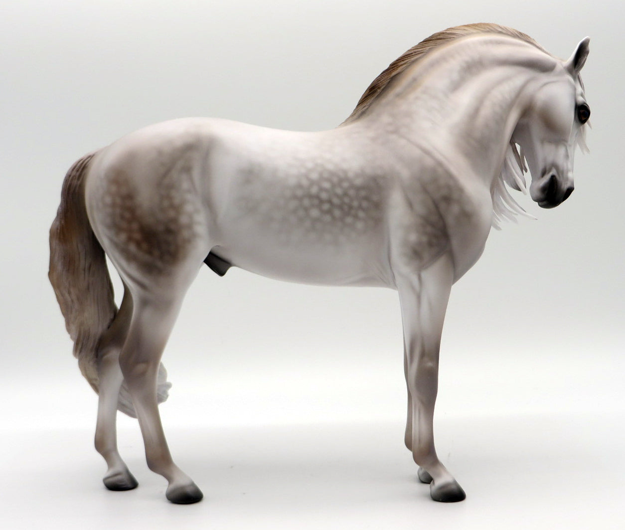 San Mateo-OOAK Dapple Grey Andalusian By Caroline Boydston 10/4/21