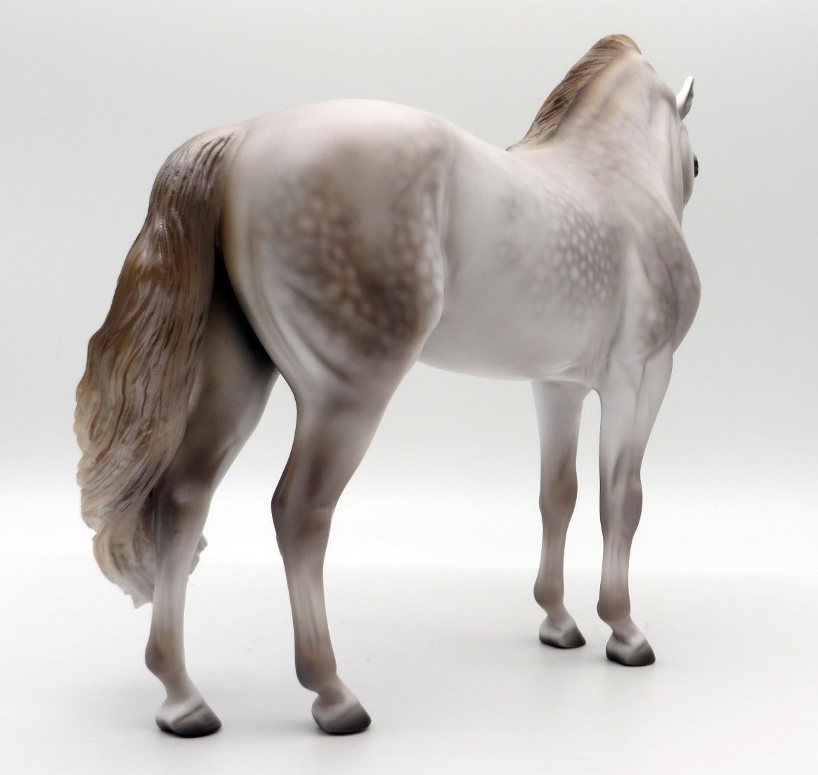 San Mateo-OOAK Dapple Grey Andalusian By Caroline Boydston 10/4/21
