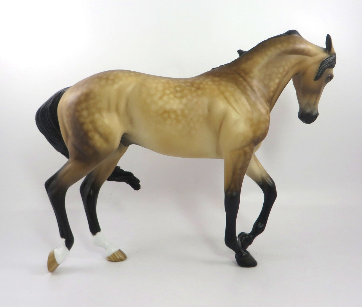 SAVORY-OOAK SAPPLE BUCKSKIN THOROUGHBRED BY SHERYL LEISURE 12/27/19
