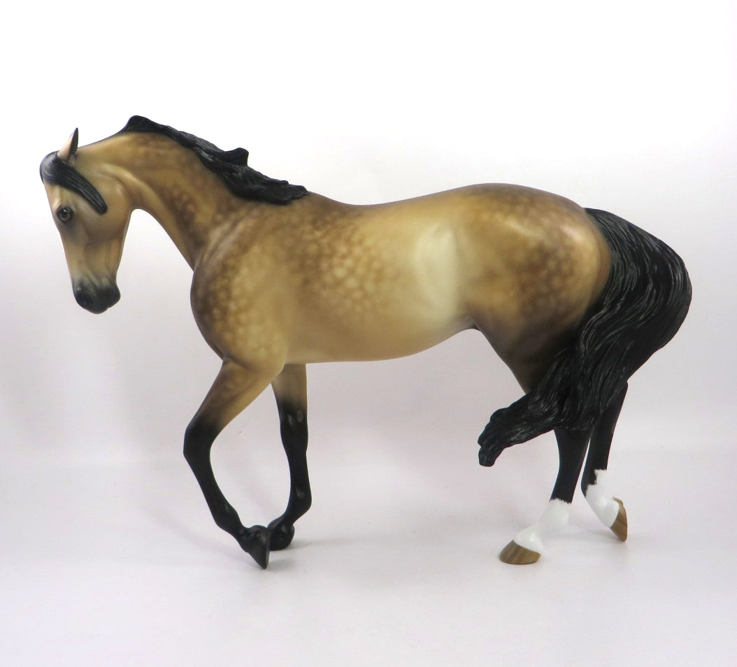 SAVORY-OOAK SAPPLE BUCKSKIN THOROUGHBRED BY SHERYL LEISURE 12/27/19