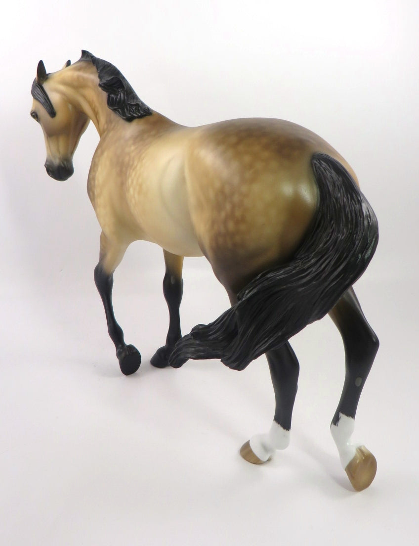 SAVORY-OOAK SAPPLE BUCKSKIN THOROUGHBRED BY SHERYL LEISURE 12/27/19