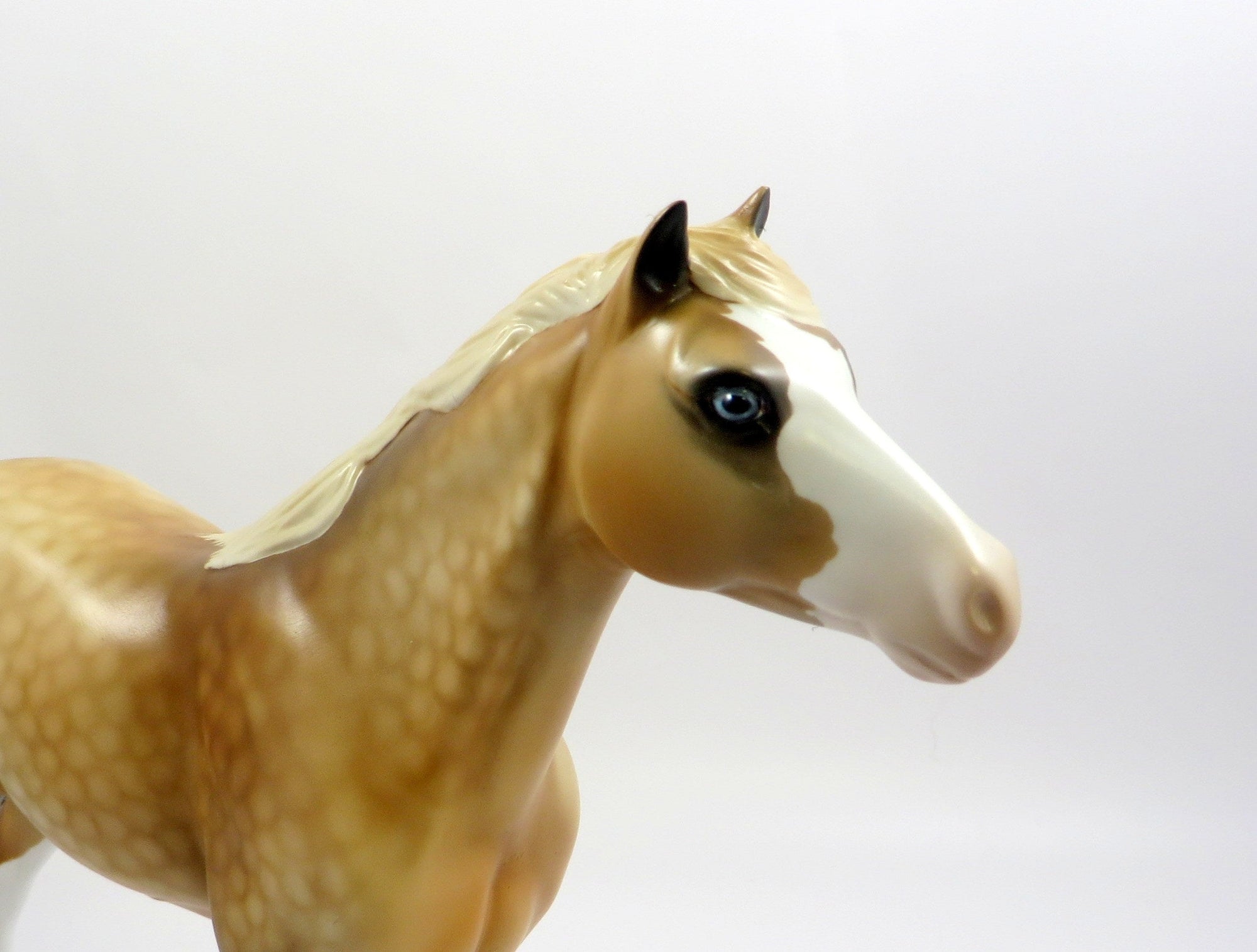 SAXXON-OOAK DAPPLE PALOMINO MUSTANG MODEL HORSE EQ 19