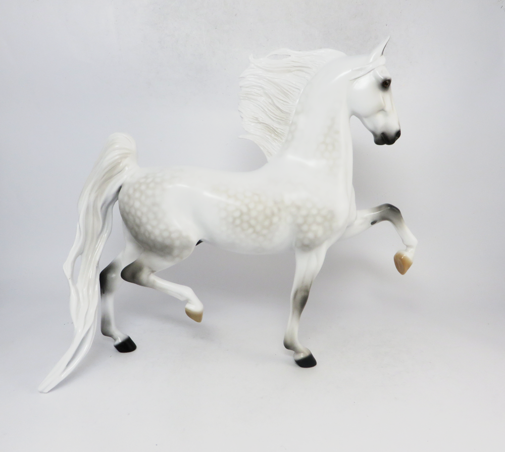 TACKLE- LE-5 DAPPLED GREY  SADDLEBRED BY AUDREY DIXON SB19