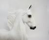 TACKLE- LE-5 DAPPLED GREY  SADDLEBRED BY AUDREY DIXON SB19