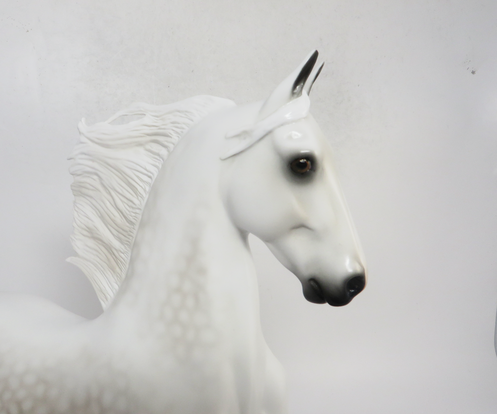 TACKLE- LE-5 DAPPLED GREY  SADDLEBRED BY AUDREY DIXON SB19