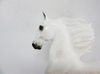TACKLE- LE-5 DAPPLED GREY  SADDLEBRED BY AUDREY DIXON SB19