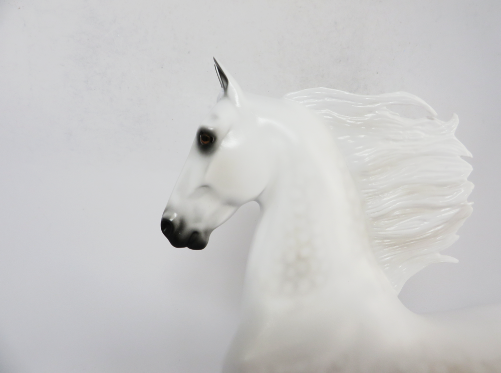 TACKLE- LE-5 DAPPLED GREY  SADDLEBRED BY AUDREY DIXON SB19