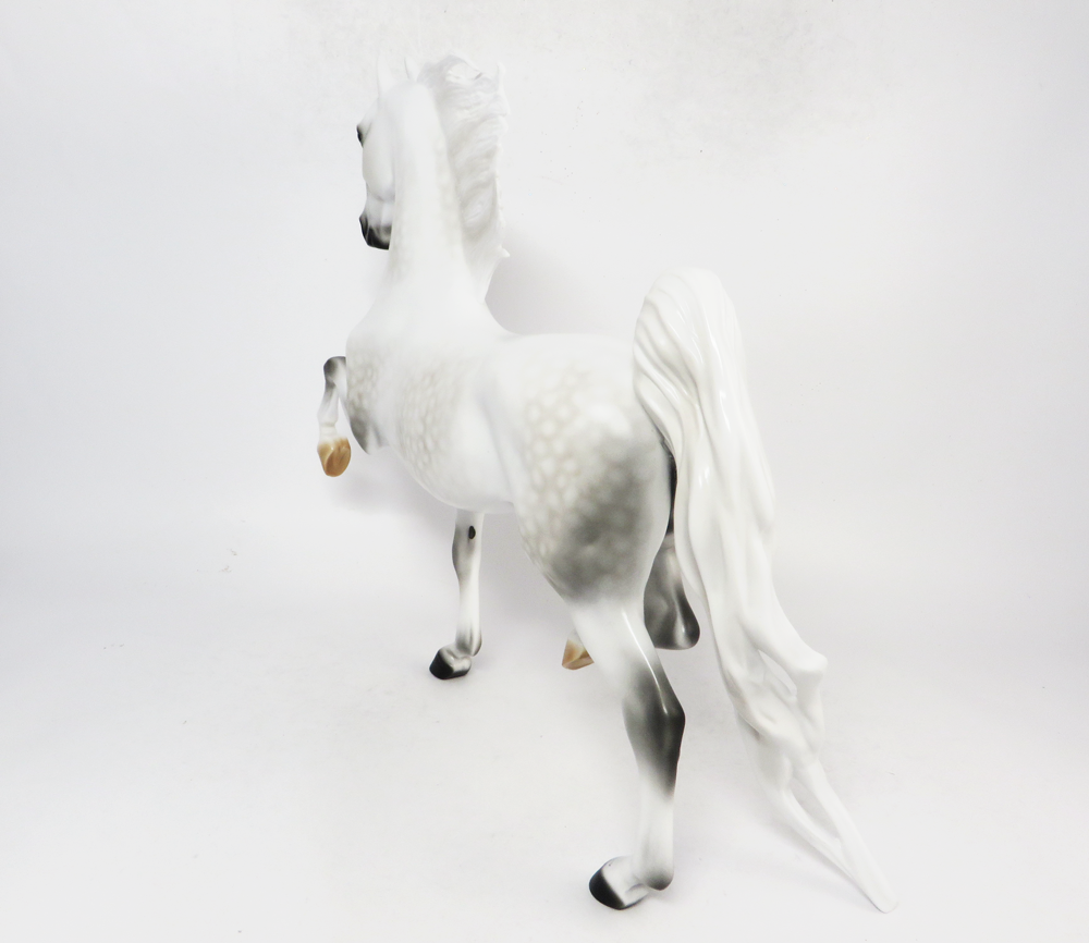 TACKLE- LE-5 DAPPLED GREY  SADDLEBRED BY AUDREY DIXON SB19