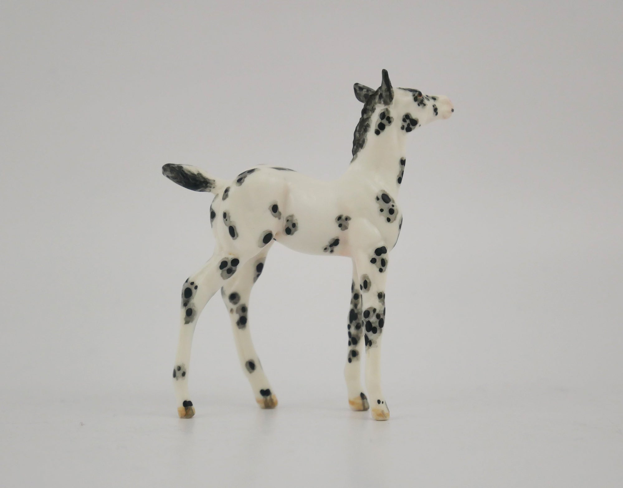 SCOTTERIC-OOAK BLACK LEOPARD APPALOOSA FOAL BY ANDREA