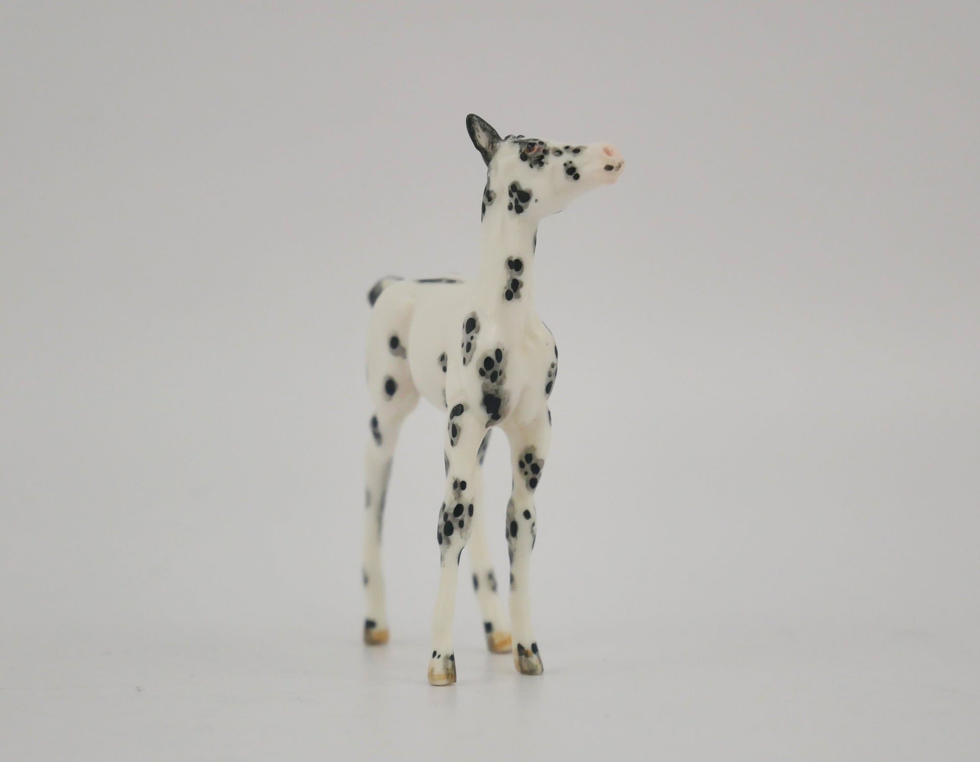 SCOTTERIC-OOAK BLACK LEOPARD APPALOOSA FOAL BY ANDREA
