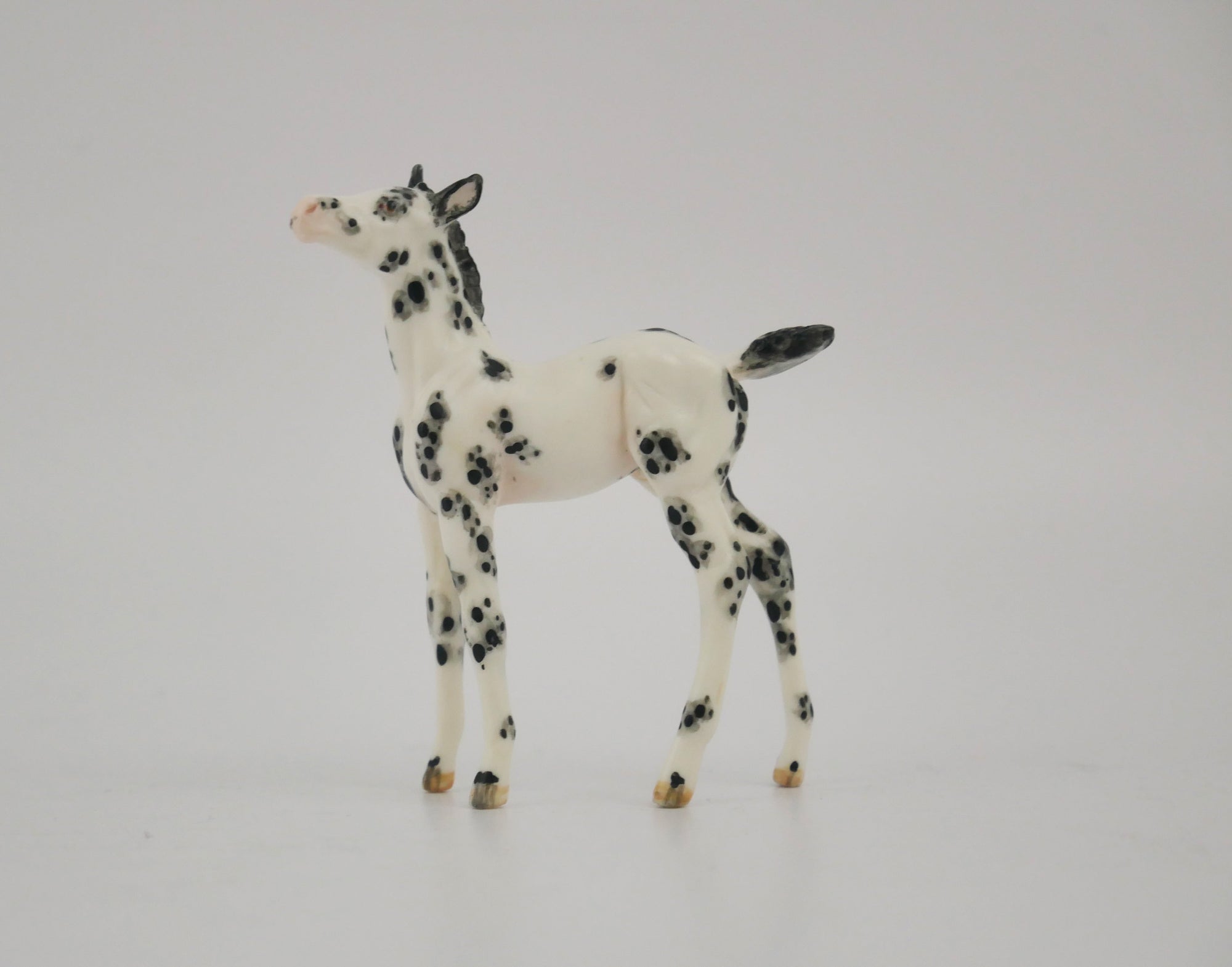 SCOTTERIC-OOAK BLACK LEOPARD APPALOOSA FOAL BY ANDREA